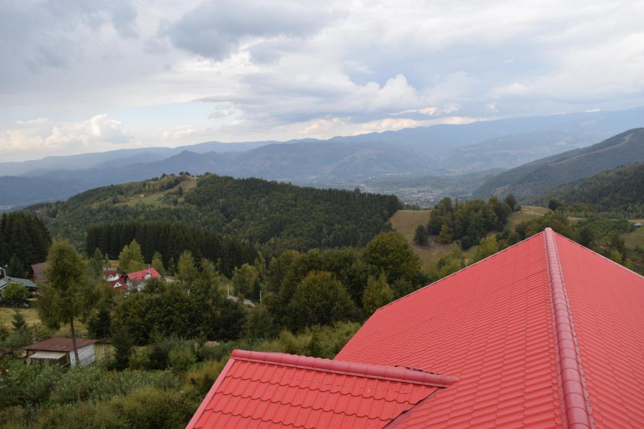 Pensiunea Bujor De Munte Petrozsény Kültér fotó